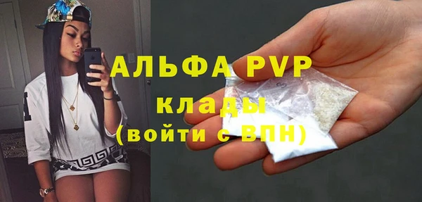 ешки Корсаков