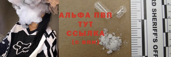 хмурый Магас