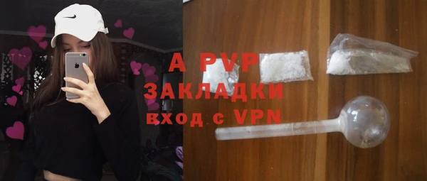 ешки Корсаков