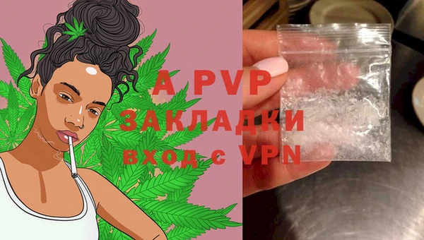 ешки Корсаков