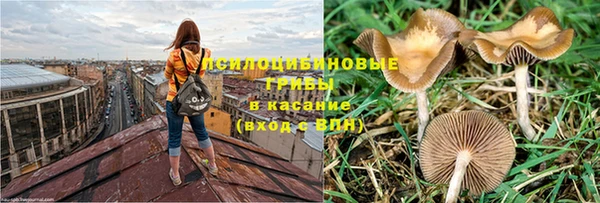 трава Костерёво