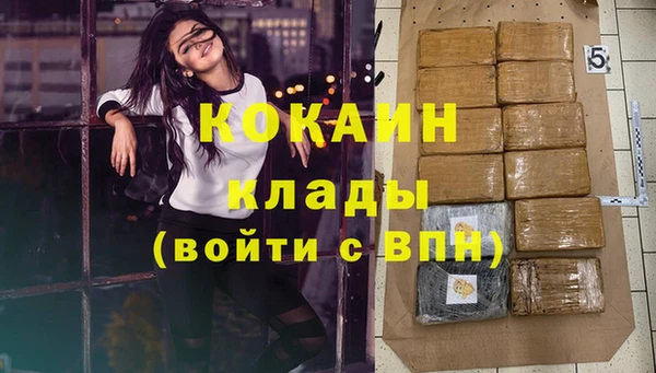 ешки Корсаков