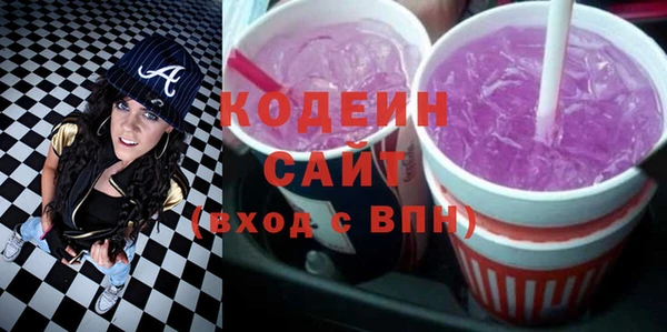ешки Корсаков