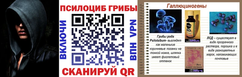 Купить где  Дедовск  Псилоцибиновые грибы ЛСД 