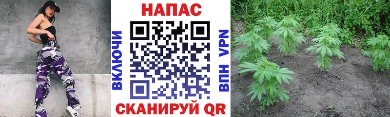 Канабис ГИДРОПОН  Купить закладки  Дедовск 